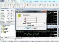 外汇如何网上开户？外汇网上开户怎么操作？